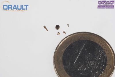 DRAULT DECOLLETAGE - Machining horology components